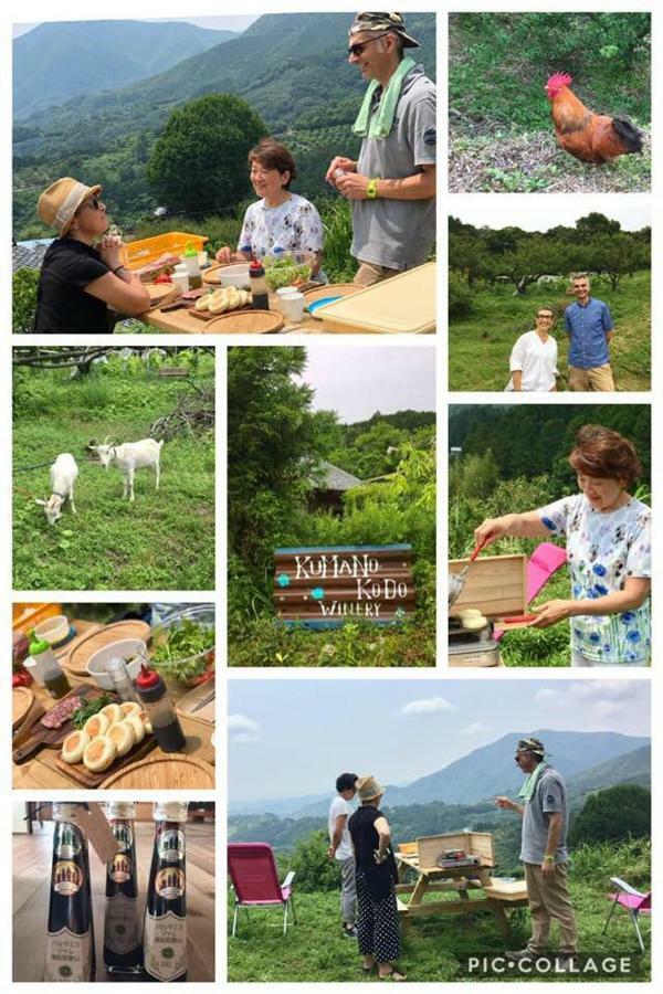 Kumano Winery Guest House Танабе Экстерьер фото