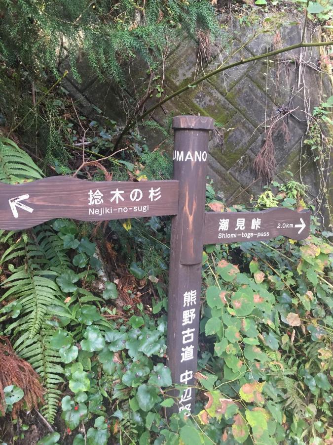 Kumano Winery Guest House Танабе Экстерьер фото